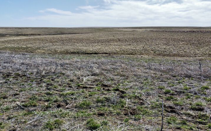 Pictures of Land property located at Co Rd 125, Deer Trail, CO 80105 for sales - image #1
