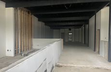 29521036
