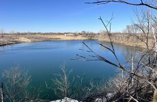 26808494