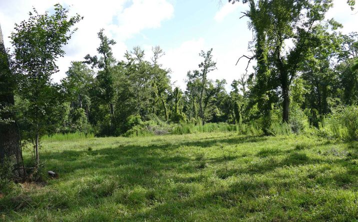 Pictures of Land property located at 42420 Moody Dixon Rd, Prairieville, LA 70769 for sales - image #1