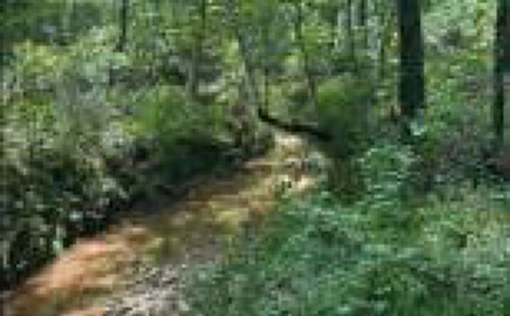 Pictures of Land property located at Lot N1 Old Edgefield Road, Ninety Six, SC 29666 for sales - image #1