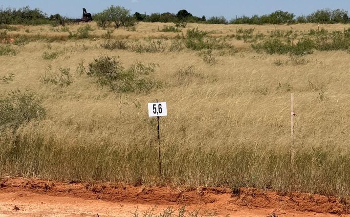 Pictures of Land property located at 1125 SE 1620, Andrews, TX 79714 for sales - image #1