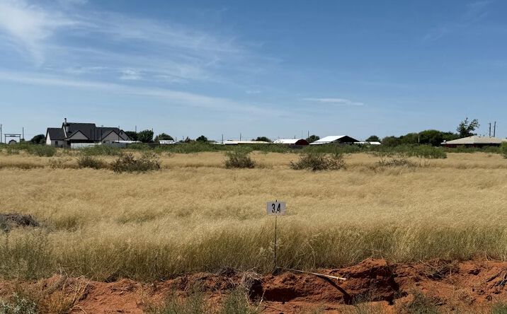 Pictures of Land property located at 1115 SE 1620, Andrews, TX 79714 for sales - image #1