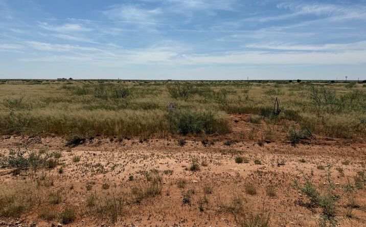 Pictures of Land property located at 1120 SE 1630, Andrews, TX 79714 for sales - image #1