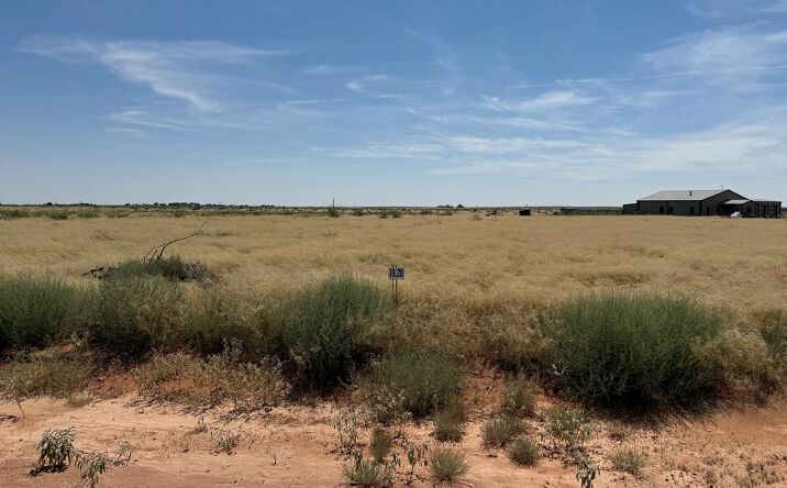 Pictures of Land property located at 1110 SE 1630, Andrews, TX 79714 for sales - image #1