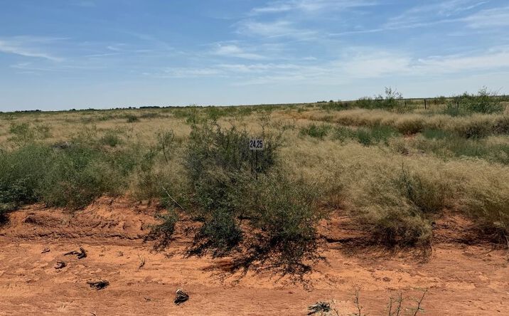 Pictures of Land property located at 1150 SE 1620, Andrews, TX 79714 for sales - image #1