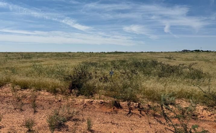 Pictures of Land property located at 1160 SE 1620, Andrews, TX 79714 for sales - image #1