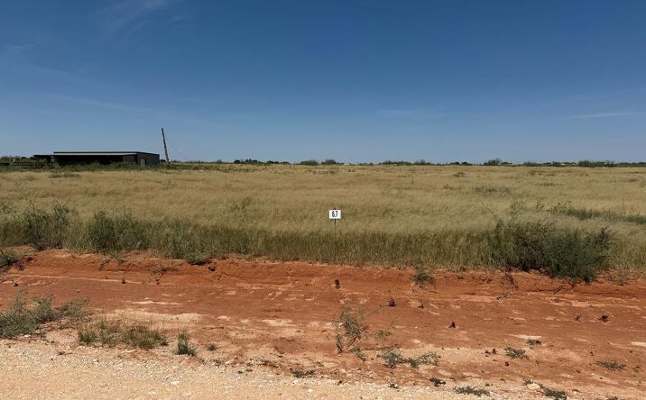 Pictures of Land property located at 1145 SE 1620, Andrews, TX 79714 for sales - image #1