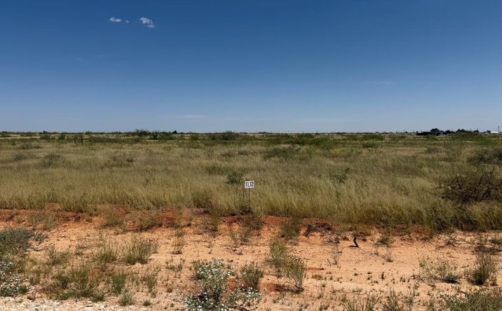 Pictures of Land property located at 1185 SE 1620, Andrews, TX 79714 for sales - image #1