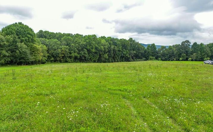 Pictures of Land, Multifamily property located at 4.15 ac Highway 133, Shady Valley, TN 37688 for sales - image #1