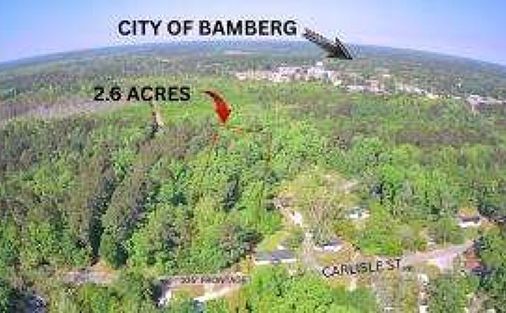 Pictures of Land property located at Tbd Carlisle Stree, Bamberg, SC 29003 for sales - image #1