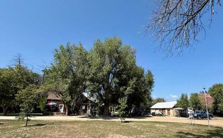 Pictures of Retail, Multifamily, Land property located at 1408 & 1424 17th Ave, Longmont, CO 80501 for sales - image #1