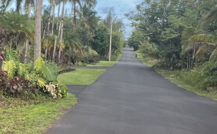 Pictures of Land property located at 15-1702 1st Ave, Keaau, HI 96749 for sales - image #1
