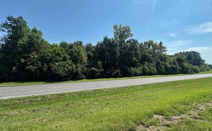 Pictures of Land property located at 7635 LA-39, Braithwaite, LA 70040 for sales - image #1