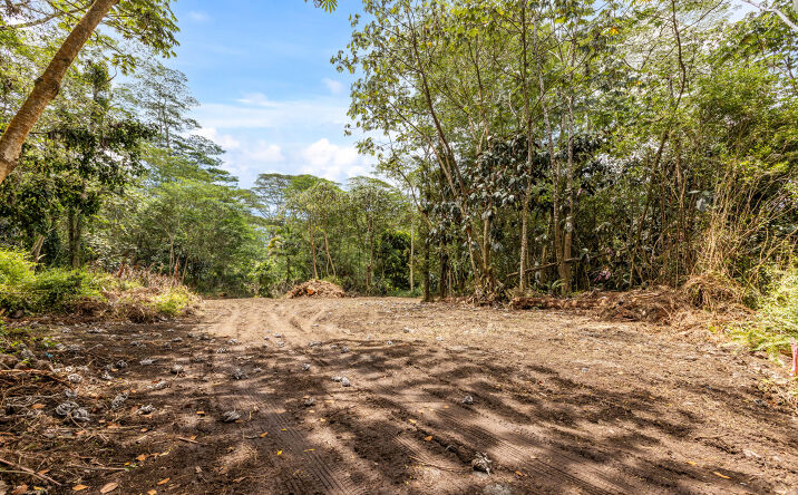 Pictures of Land property located at 6.36 ac in Pahoa, Pahoa, HI 96778 for sales - image #1