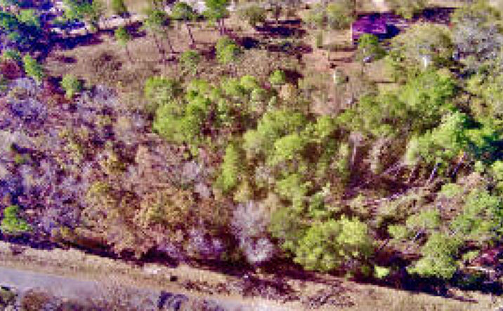 Pictures of Land property located at 000 Sertoma Drive, Johnston, SC 29832 for sales - image #1