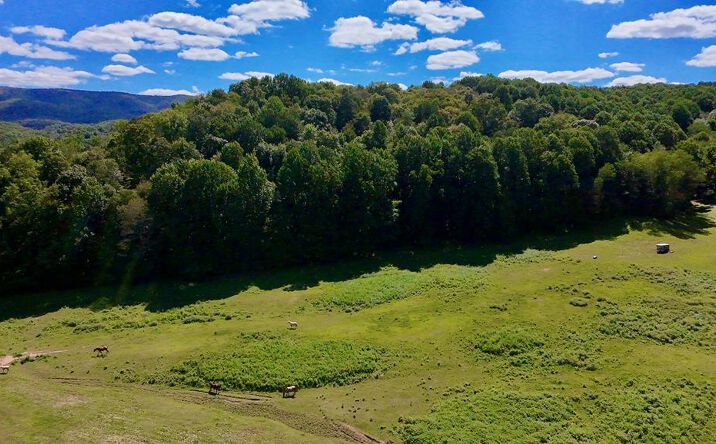Pictures of Land, Multifamily property located at TBD Conover Ln., Atkins, VA 24311 for sales - image #1