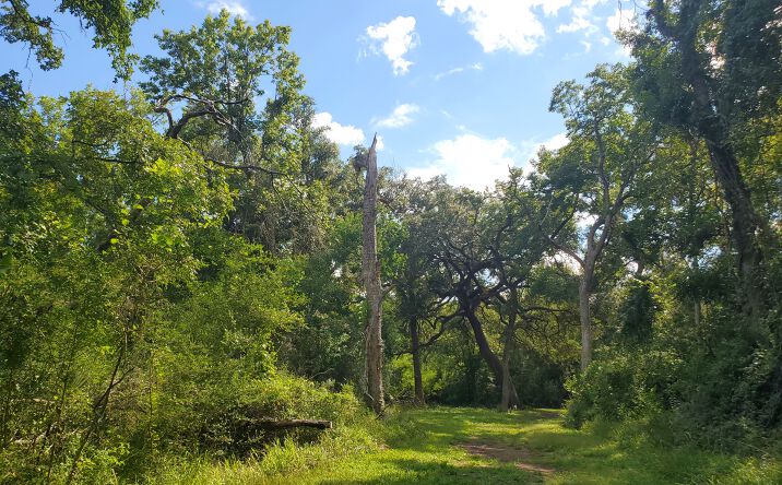 Pictures of Land property located at Co Rd 488B, Sweeny, TX 77480 for sales - image #1