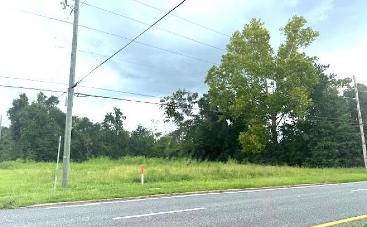 Pictures of Land property located at 12239 Burke Road, Fountain, FL 32438 for sales - image #1