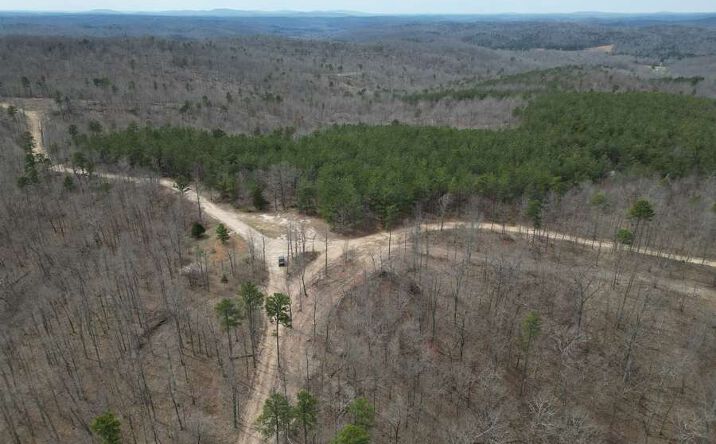 Pictures of Land property located at Madison CR 411, Millcreek, MO 63645 for sales - image #1