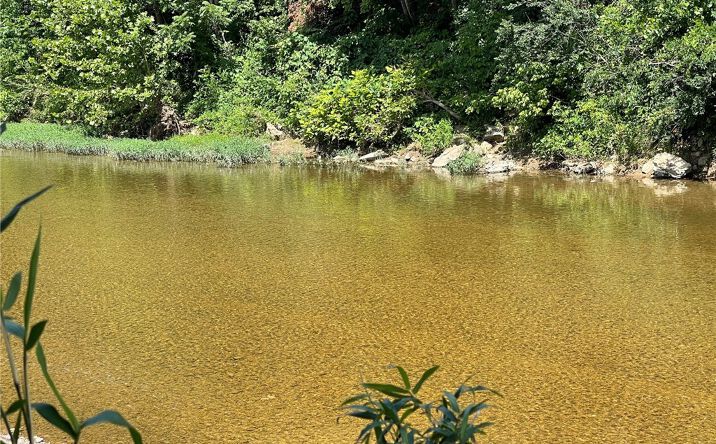 Pictures of Land property located at Stone River, Berryville, AR 72616 for sales - image #1