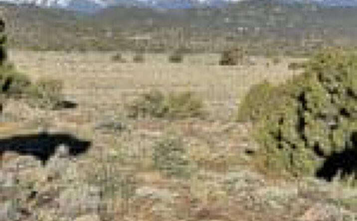 image of property at 21550 DELTA DR Reno NV 89521-7413