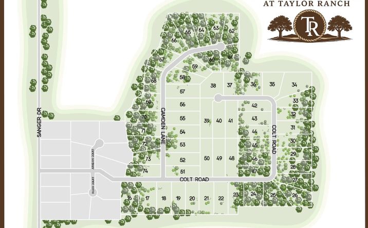 Pictures of Land property located at Lot 70 Camden Lane, Springtown, TX 76082 for sales - image #1