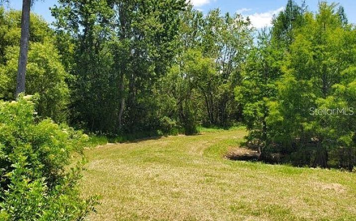 Pictures of Land property located at 0000 Rowan Rd, New Port Richey, FL 34653 for sales - image #1