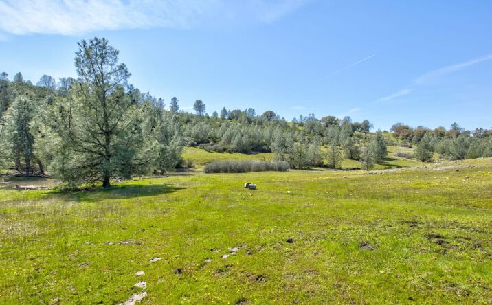 Pictures of Land property located at 13012 Highway 124, Ione, CA 95640 for sales - image #1