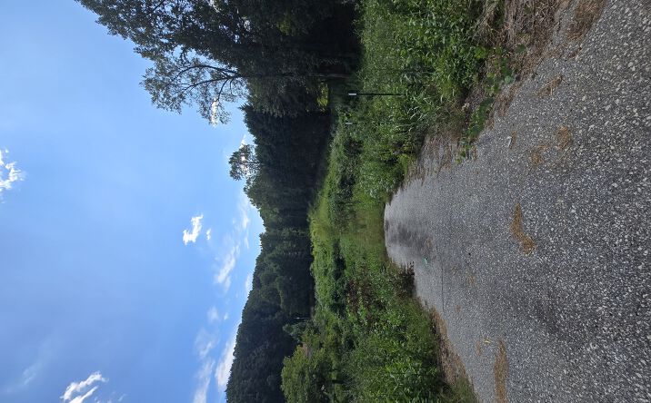 Pictures of Land property located at 0 Highway 115, Cleveland, GA 30528 for sales - image #1