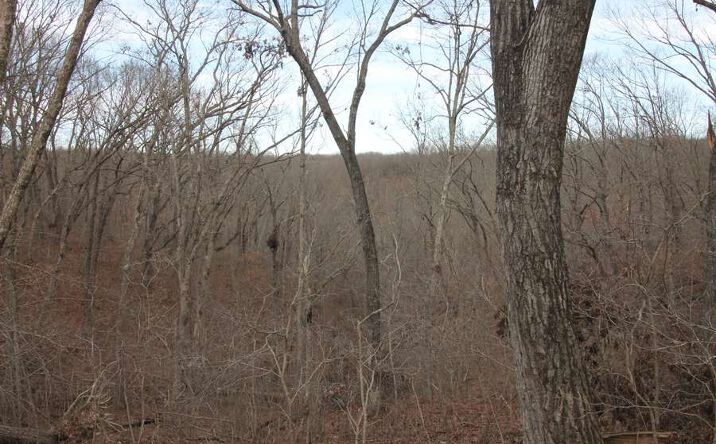 Pictures of Land property located at 1038 Mug Dr, Macks Creek, MO 65786 for sales - image #1