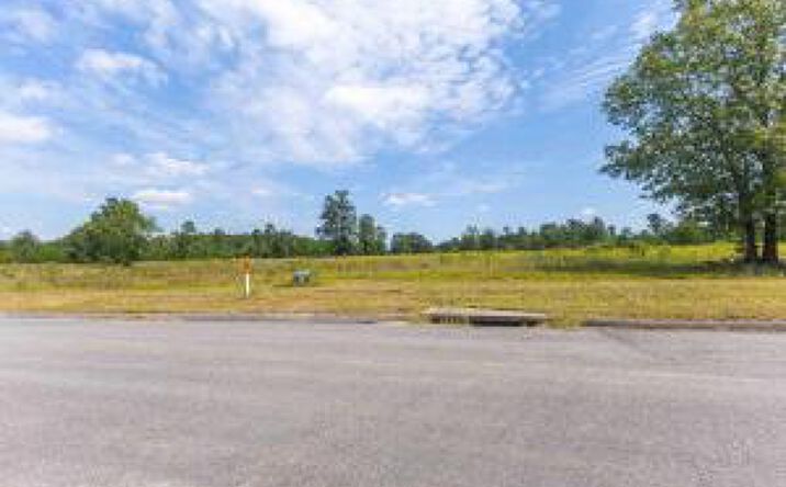 Pictures of Land property located at 0 Cooks Pond Road, Williston, SC 29853 for sales - image #1
