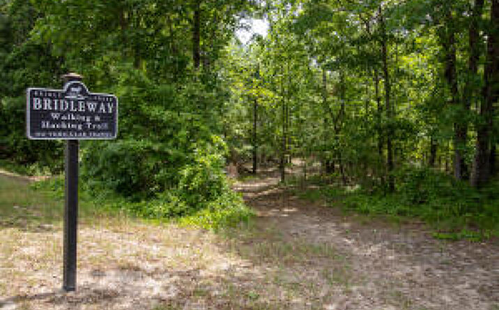 Pictures of Land property located at 0 Gundy Drive, Aiken, SC 29803 for sales - image #1