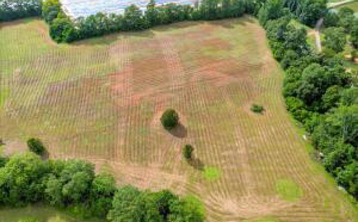 Pictures of Land property located at 00 Flower Road, Trenton, SC 29847 for sales - image #1
