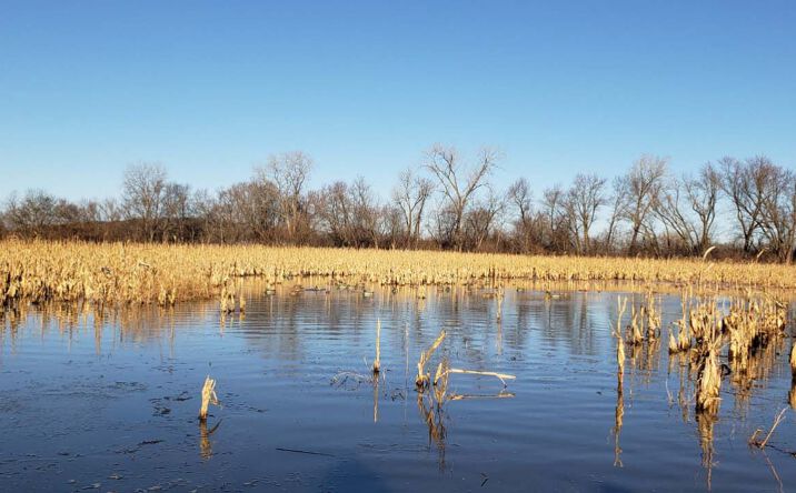 Pictures of Land property located at County Rd 45, Fillmore, MO 64449 for sales - image #1