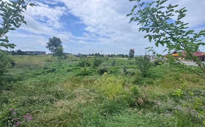 Pictures of Land property located at 0 Township Rd 217, Bellfontaine, OH 43311 for sales - image #1