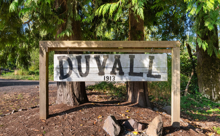 Pictures of Land property located at 13606 Carnation Duvall Rd NE, Duvall, WA 98019 for sales - image #1
