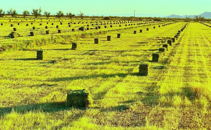 Farmland for Sale in Arizona | Crexi