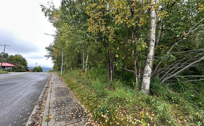 Pictures of Land property located at C021 S Valley Way, Palmer, AK 99645 for sales - image #1