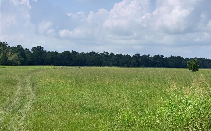 Pictures of Land property located at 4 Sunset Ridge Ln, Des Allemands, LA 70030 for sales - image #1