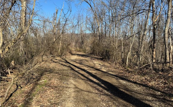 Pictures of Land property located at Fallen Timber Rd, Avella, PA 15312 for sales - image #1