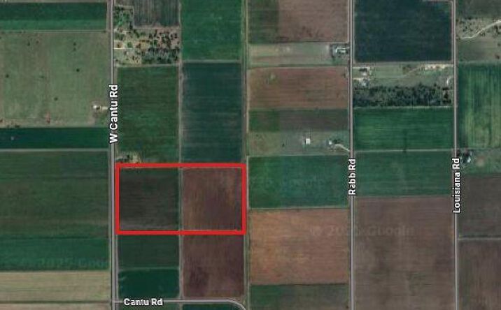 Pictures of Land property located at 18499-18353 FM 2556, Santa Rosa, TX 78593 for sales - image #1