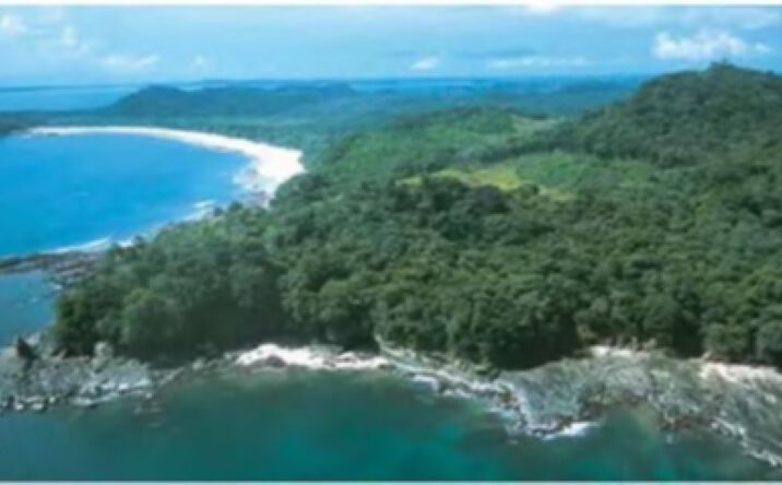 Pictures of Land property located at Isla del Rey, Panamá Province, Panama, null, PA null for sales - image #1