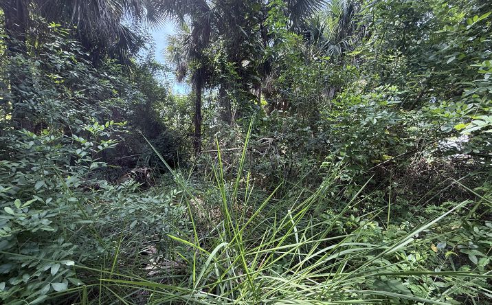 Pictures of Land property located at 782 Micco St SW, Palm Bay, FL 32907 for sales - image #1