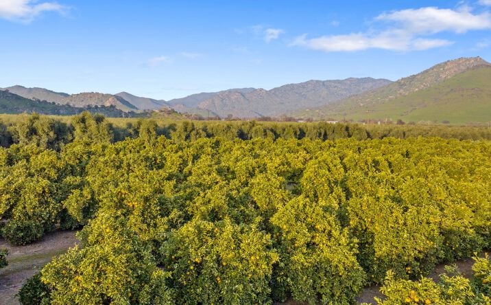 Pictures of Land property located at 19400 Ave 398, Woodlake, CA 93286 for sales - image #1