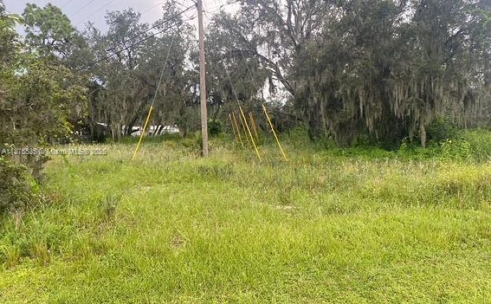Pictures of Special Purpose property located at 6005 Lake Front Dr, Sebring, FL 33876 for sales - image #1