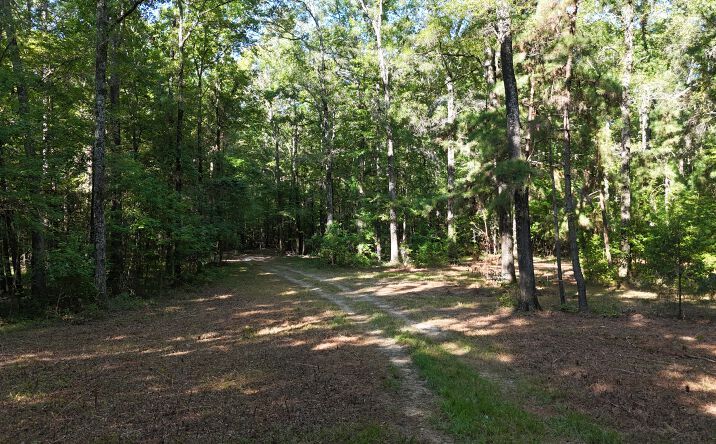 Pictures of Land property located at Paschal Rd, Elgin, SC 29045 for sales - image #1