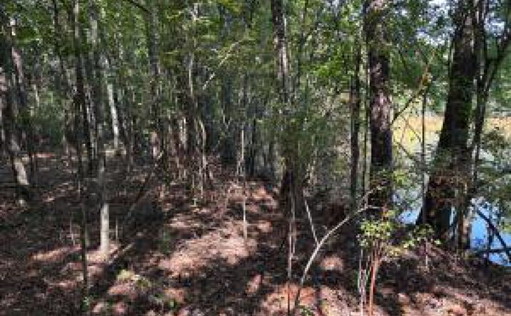 Pictures of Land property located at 1460 Whitetown Road, Mc Cormick, SC 29835 for sales - image #1