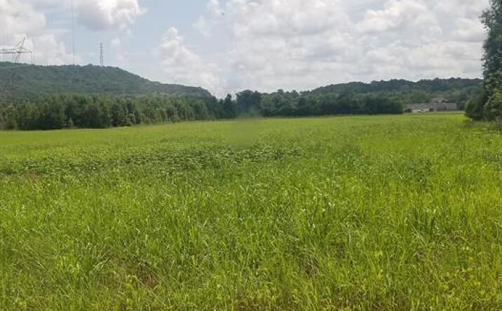 Pictures of Land property located at 231 Orvil Smith Rd, Harvest, AL 35749 for sales - image #1