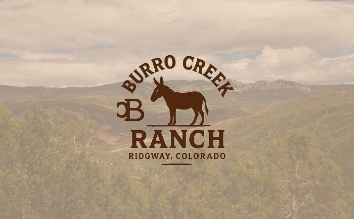 Pictures of Land property located at TBD county RD 4, Ridgway, CO 81432 for sales - image #1
